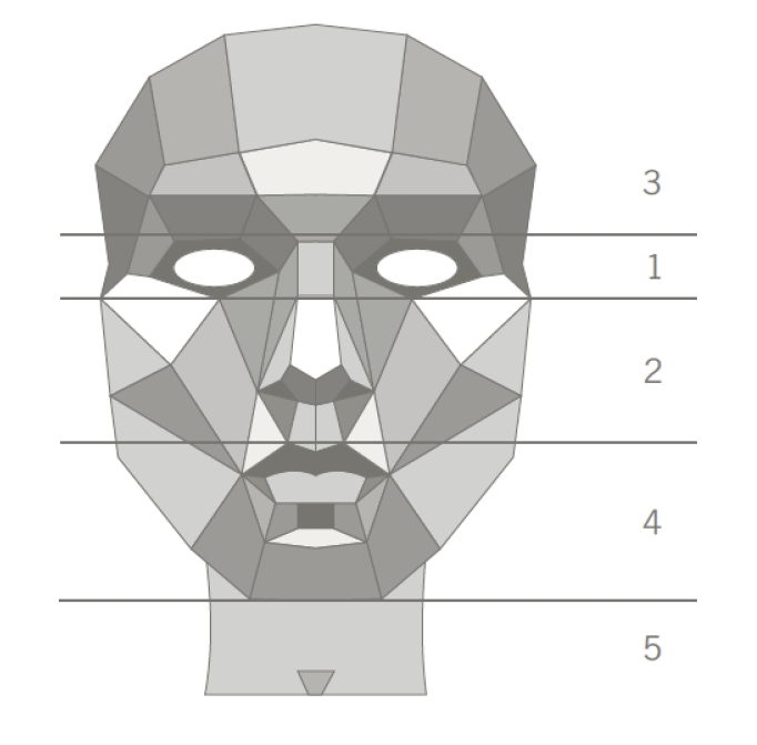 Skizze eines Gesichtes unterteilt in 5 Zonen: 1 Augen, 2 Nase Wangen Oberlippe, 3 Stirn, 4 Lippe Kinn, 5 Hals und Dekollete
