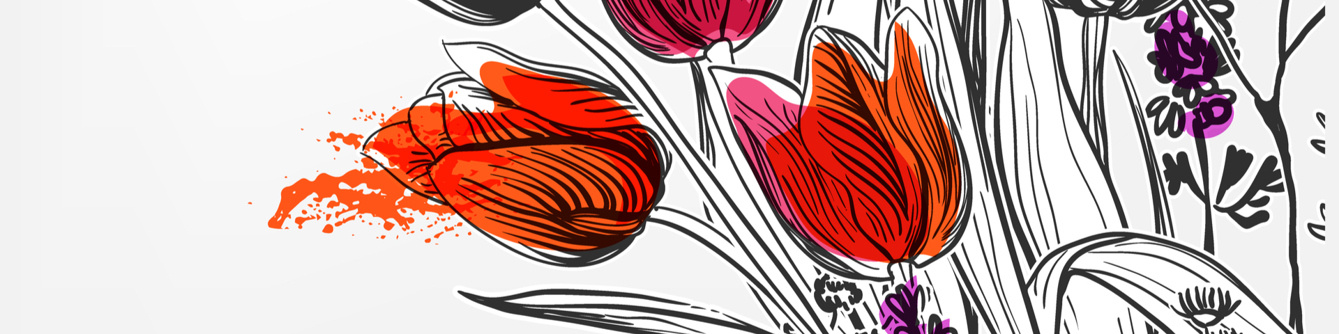 11D2362D-212D-4D8F-8058-50CCB855A8AB Tulpen gezeichnet in Rot und Rosa zum Valentinstag